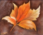 Leave in Pastel