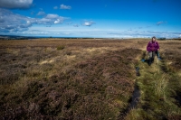 North York Moors National Park,  near Whitby