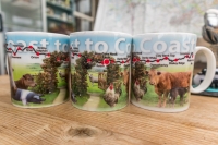 Coast to Coast Mugs