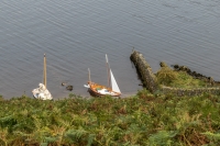 Swallows and Amazons!