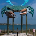 Big Blue Crab