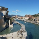 Guggenheim Museum