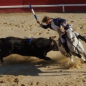 Portuguese Bullfight