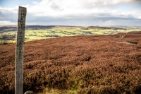 Coast to Coast Signpost on the North Yorkshire moors