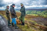 Grouse Shoot on High Blakey Moor