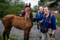 Horse fix time at Streetham