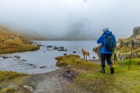 Grisedale Tarn appearing out of the mist