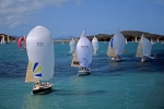 Hamilton Island Race