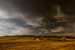 New Mexico Plains