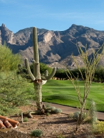 La Paloma