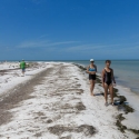 A Walk on the Beach