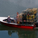 Lobster Pots Galore
