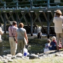 Quinsam River Hatchery
