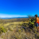 nice_desert